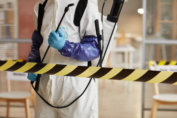 Professional Sewage Cleanup technician working in Cedar Creek, TX